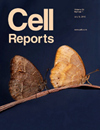 Cell Reports雜志封面